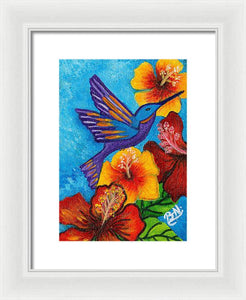 Hummingbird Framed Print