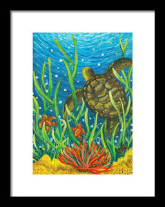 Sea Turtles Framed Print