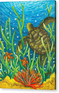 Sea Turtles Acrylic Print