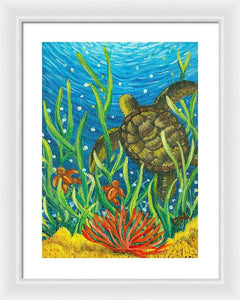 Sea Turtles Framed Print