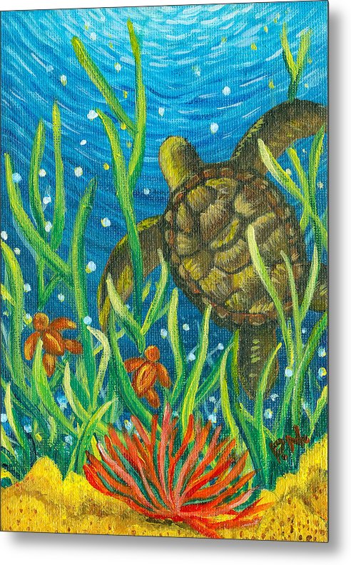 Sea Turtles - Metal Print