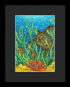 Sea Turtles Framed Print